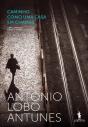 Caminho Como Uma Casa Em Chamas - Preview