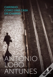 Capa do artigo Caminho Como Uma Casa Em Chamas