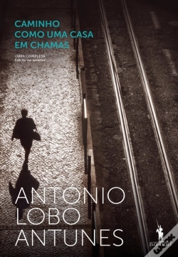 Capa do artigo Caminho Como Uma Casa Em Chamas