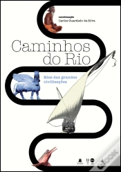 Capa do artigo Caminhos do Rio