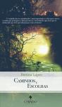 Caminhos e Escolhas - Preview