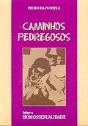 Caminhos Pedregosos - Sobre a Homossexualidade - Preview