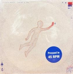 Capa do artigo Camino Al Sol - Vinil