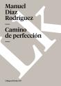 Camino De Perfeccion - Preview