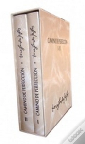 Capa do artigo Camino De Perfeccion