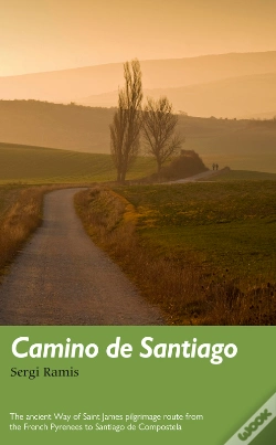 Capa do artigo Camino De Santiago