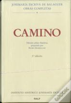Camino. Edición Crítico-Histórica