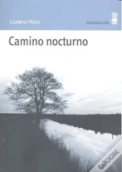 Capa do artigo Camino Nocturno
