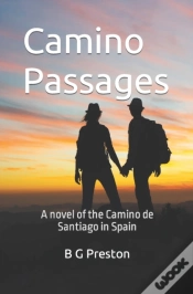 Capa do artigo Camino Passages