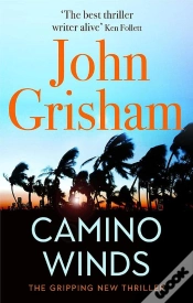 Capa do artigo Camino Winds