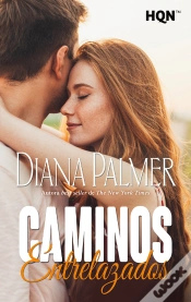 Capa do artigo Caminos Entrelazados