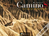 Caminos ; Les Plus Beaux Sites De Randonnées En Espagne