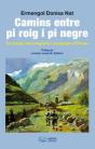 Camins Entre Pi Roig I Pi Negre - Preview