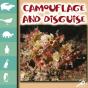 Camouflage And Disguise - Preview