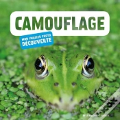 Capa do artigo Camouflage