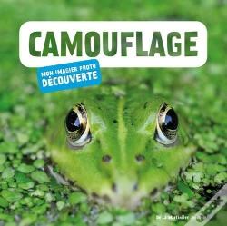 Capa do artigo Camouflage