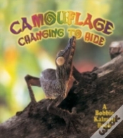 Capa do artigo Camouflage