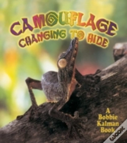 Capa do artigo Camouflage