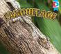 Camouflage - Preview