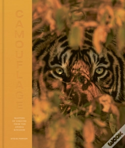Capa do artigo Camouflage