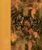 Camouflage - Preview