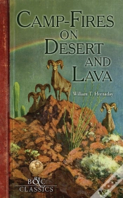 Capa do artigo Camp-Fire On Desert And Lava