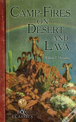 Capa do artigo Camp-Fire On Desert And Lava
