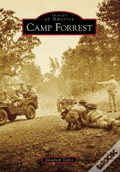 Capa do artigo Camp Forrest