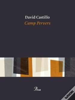 Capa do artigo Camp Pervers