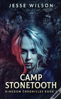 Capa do artigo Camp Stonetooth