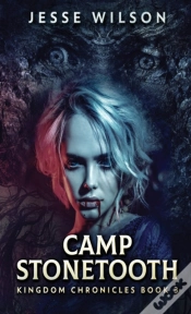 Capa do artigo Camp Stonetooth