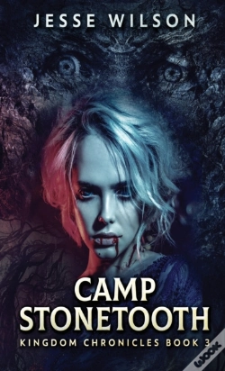 Capa do artigo Camp Stonetooth