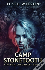 Capa do artigo Camp Stonetooth