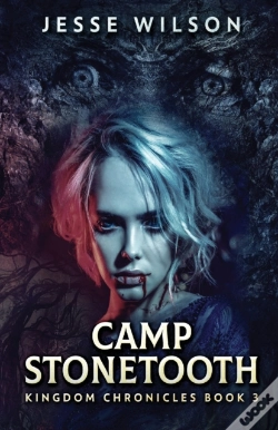 Capa do artigo Camp Stonetooth