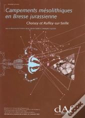 Campements Mesolithiques En Bresse Jurassienne ; Choisey Et Ruffey-Sur-Seine