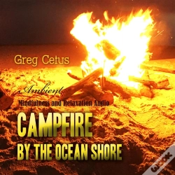 Capa do artigo Campfire By The Ocean Shore