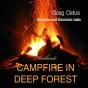 Campfire In Deep Forest - Preview