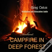 Capa do artigo Campfire In Deep Forest
