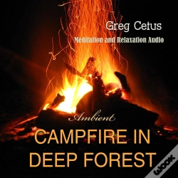Capa do artigo Campfire In Deep Forest