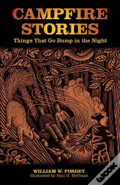 Capa do artigo Campfire Stories
