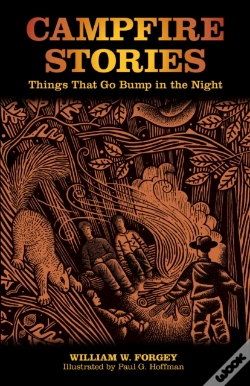 Capa do artigo Campfire Stories