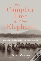 Camphor Tree And The Elephant