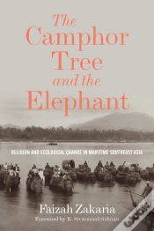 Capa do artigo Camphor Tree And The Elephant