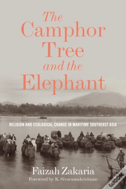 Capa do artigo Camphor Tree And The Elephant