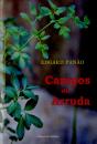 Campos de Arruda - Preview