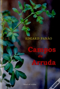 Capa do artigo Campos de Arruda
