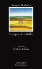 Campos De Castilla - Preview