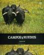 Campos Y Ruedos T.2 - Preview