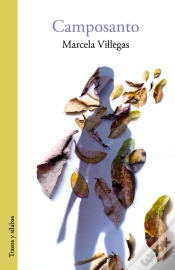 Capa do artigo Camposanto