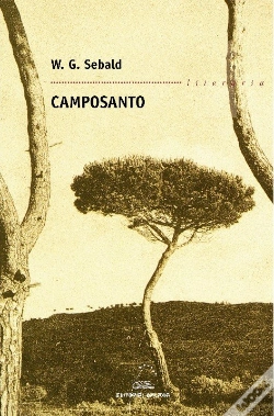Capa do artigo Camposanto